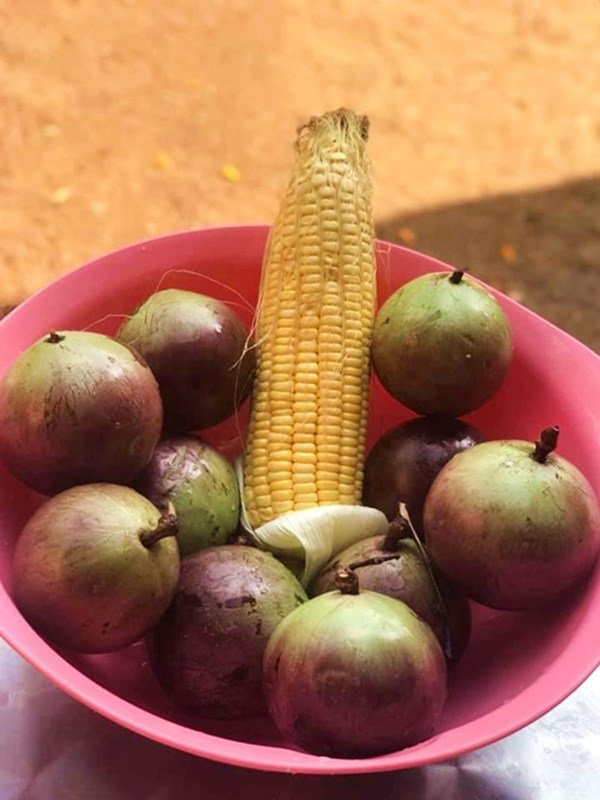 1 năm trốn phố về Bình Phước trồng rau, Kiều Trinh khoe vườn nhà trĩu quả-11