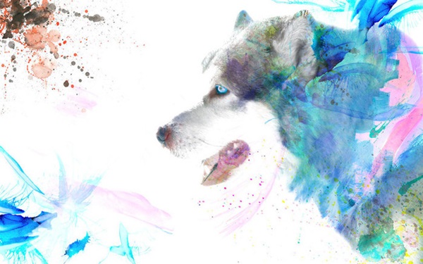 5 con giáp có đường tài lộc vượng nhất tháng 2 âm: Kiếm tiền dễ dàng, cuộc sống dư dả-2