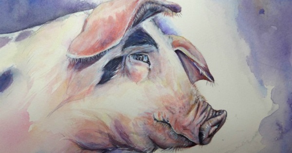 5 con giáp có đường tài lộc vượng nhất tháng 2 âm: Kiếm tiền dễ dàng, cuộc sống dư dả-3