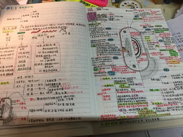 Sổ ghi chép của thủ khoa Đại học khiến người ta hiểu ra: Khác biệt đời người không chỉ nằm ở IQ, mà còn là nỗ lực và sự trả giá-1