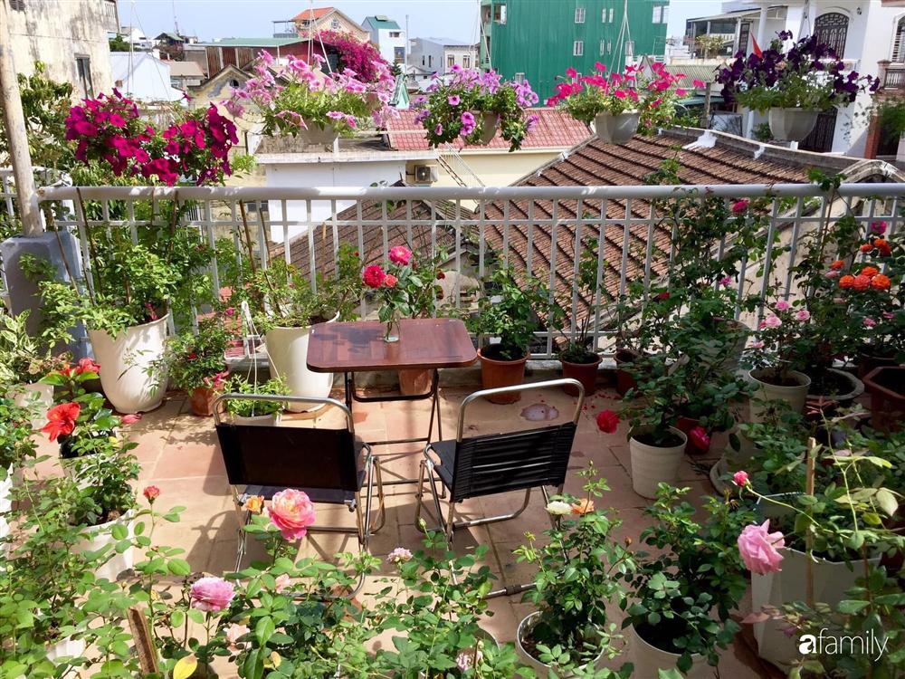 Vườn hồng sân thượng sẽ là điểm nhấn độc đáo cho ngôi nhà của bạn. Với sự kết hợp giữa đất và xanh, bạn sẽ cảm nhận được sự tương tác hoàn hảo giữa thiên nhiên và con người. Bức ảnh này sẽ khiến bạn khao khát sở hữu một vườn hoa hồng sân thượng cho riêng mình.