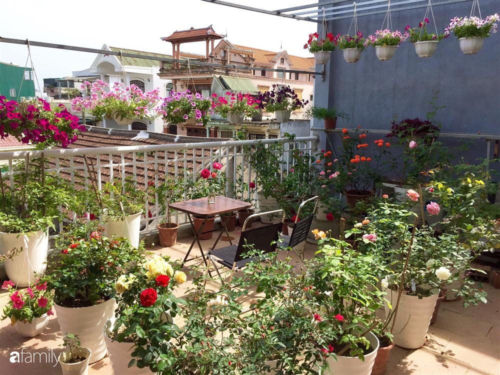 Mê hoa hồng, cô gái trẻ xứ Huế quyết tâm thức khuya dậy sớm tạo cả khu vườn hồng rực rỡ trên sân thượng-2