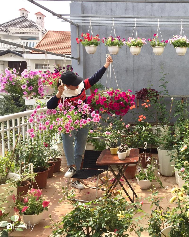 Mê hoa hồng, cô gái trẻ xứ Huế quyết tâm thức khuya dậy sớm tạo cả khu vườn hồng rực rỡ trên sân thượng-4