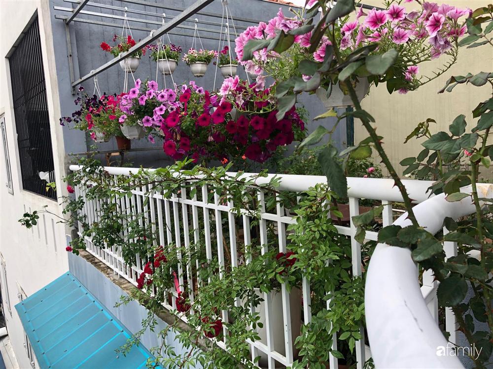 Mê hoa hồng, cô gái trẻ xứ Huế quyết tâm thức khuya dậy sớm tạo cả khu vườn hồng rực rỡ trên sân thượng-27