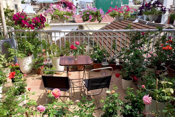 Bà xã Quyền Linh khoe vườn hồng ngập sắc, mọi sự trầm trồ lại đổ vào 2 cô công chúa-14