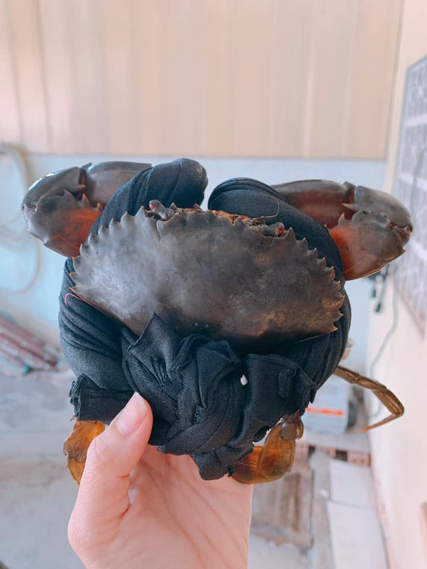 Hí hửng mua cua về tẩm bổ, cô gái cạn lời với đống dây buộc trải ra dài và rộng như... thảm đỏ-5