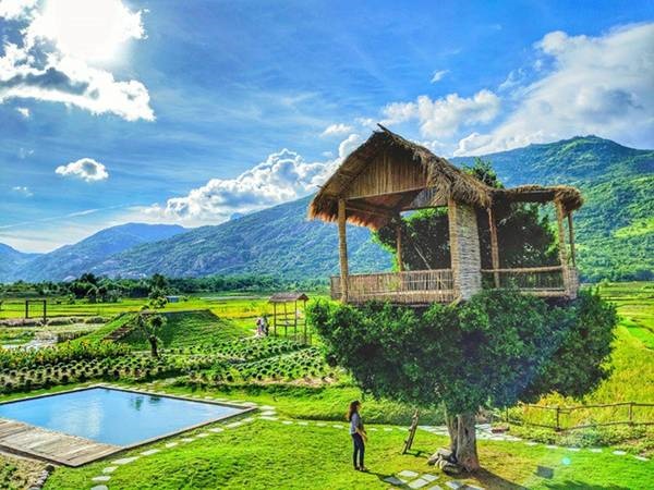 Cận cảnh những ngôi nhà treo mình trên cây, độc nhất Việt Nam-1