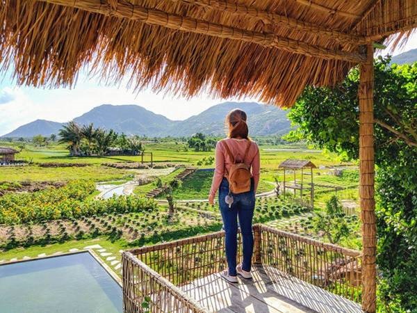 Cận cảnh những ngôi nhà treo mình trên cây, độc nhất Việt Nam-2