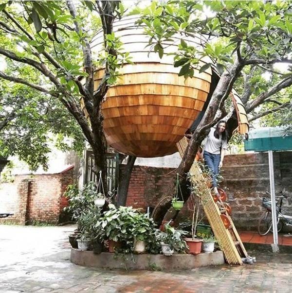 Cận cảnh những ngôi nhà treo mình trên cây, độc nhất Việt Nam-6