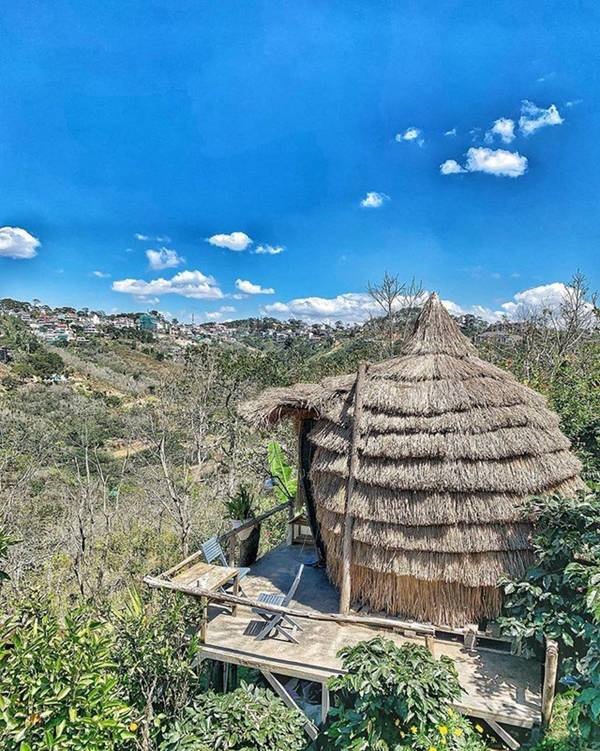 Cận cảnh những ngôi nhà treo mình trên cây, độc nhất Việt Nam-7