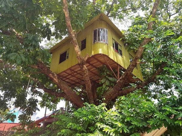 Cận cảnh những ngôi nhà treo mình trên cây, độc nhất Việt Nam-8