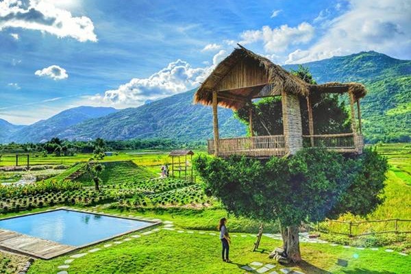 Ngôi nhà 3 tầng với giàn nho xinh xắn của nữ ca sĩ sắp lấy chồng thứ 4 kém tuổi-14