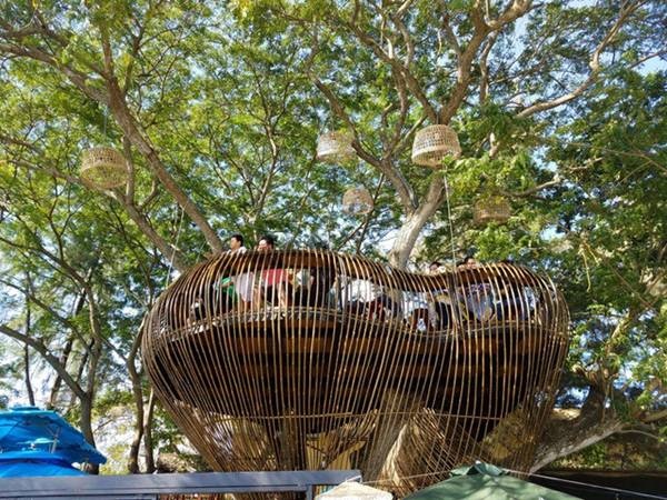 Cận cảnh những ngôi nhà treo mình trên cây, độc nhất Việt Nam-10