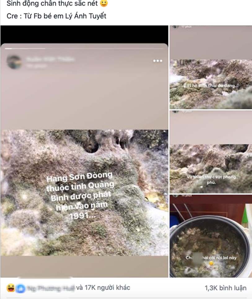 Bức ảnh thoạt nhìn tưởng thảm thực vật trong hang Sơn Đoòng, nào ngờ sự thật khiến hội chị em giật mình phải chạy đi kiếm nồi cơm của nhà mình-1
