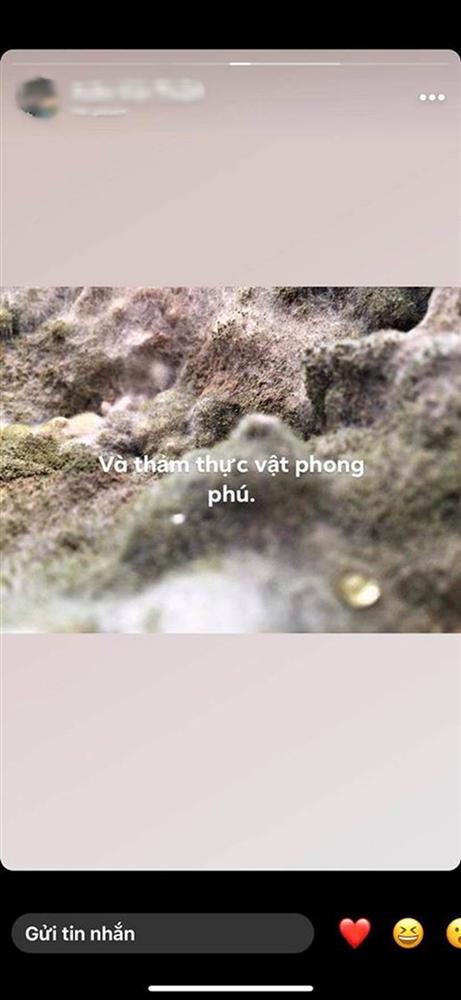 Bức ảnh thoạt nhìn tưởng thảm thực vật trong hang Sơn Đoòng, nào ngờ sự thật khiến hội chị em giật mình phải chạy đi kiếm nồi cơm của nhà mình-2