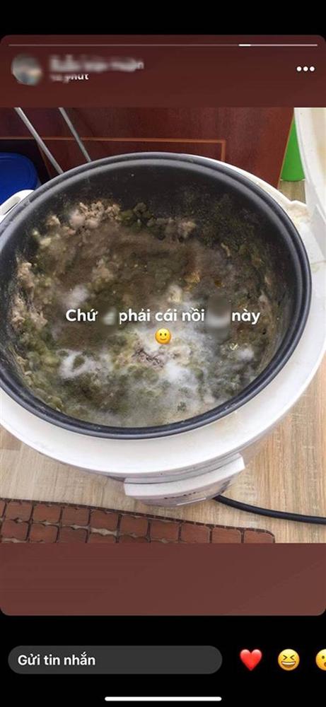 Bức ảnh thoạt nhìn tưởng thảm thực vật trong hang Sơn Đoòng, nào ngờ sự thật khiến hội chị em giật mình phải chạy đi kiếm nồi cơm của nhà mình-4