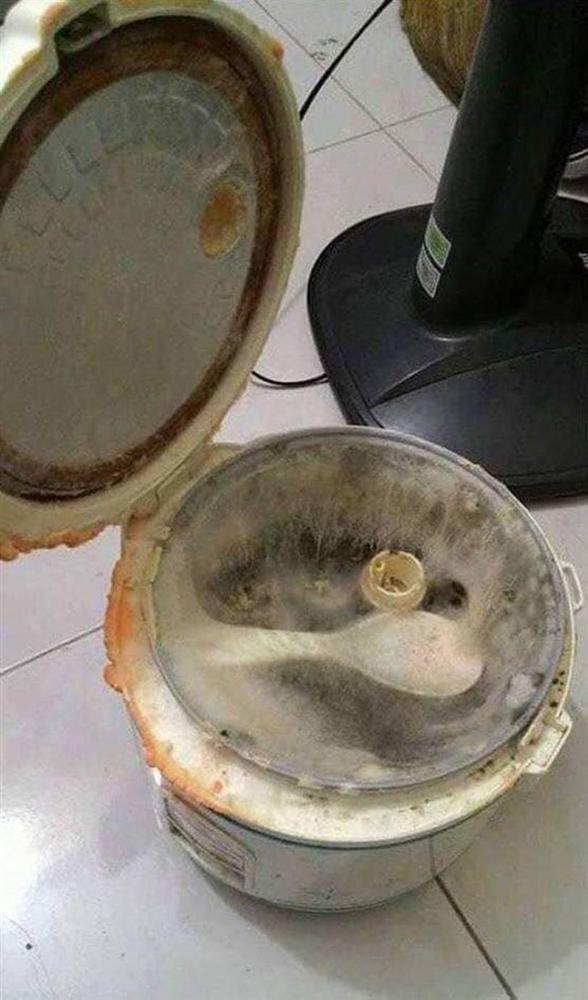 Bức ảnh thoạt nhìn tưởng thảm thực vật trong hang Sơn Đoòng, nào ngờ sự thật khiến hội chị em giật mình phải chạy đi kiếm nồi cơm của nhà mình-6