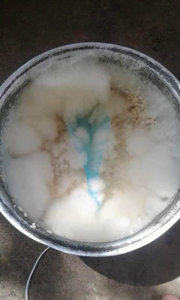 Bức ảnh thoạt nhìn tưởng thảm thực vật trong hang Sơn Đoòng, nào ngờ sự thật khiến hội chị em giật mình phải chạy đi kiếm nồi cơm của nhà mình-8