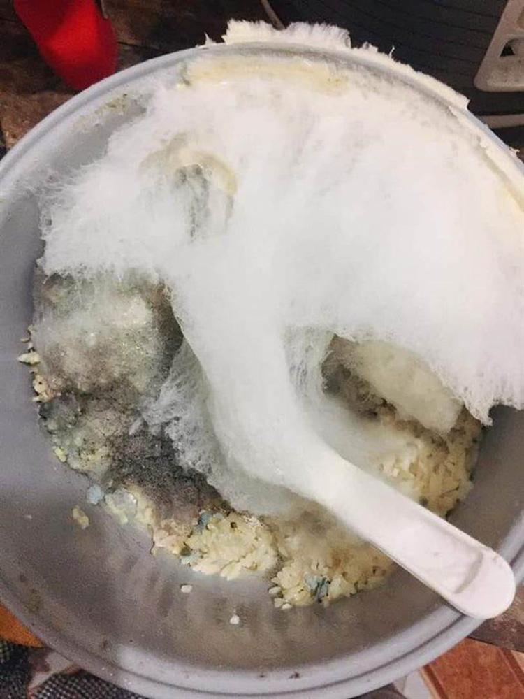 Bức ảnh thoạt nhìn tưởng thảm thực vật trong hang Sơn Đoòng, nào ngờ sự thật khiến hội chị em giật mình phải chạy đi kiếm nồi cơm của nhà mình-9