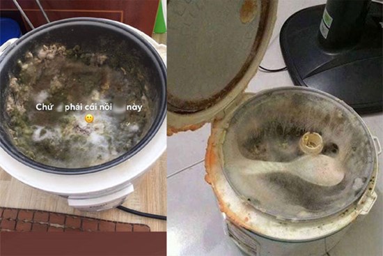 Bức ảnh thoạt nhìn tưởng thảm thực vật trong hang Sơn Đoòng, nào ngờ sự thật khiến hội chị em giật mình