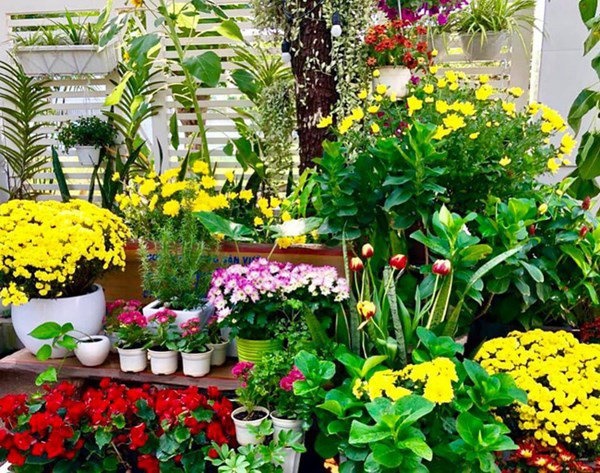 Bà xã Quyền Linh khoe vườn hồng ngập sắc, mọi sự trầm trồ lại đổ vào 2 cô công chúa-10