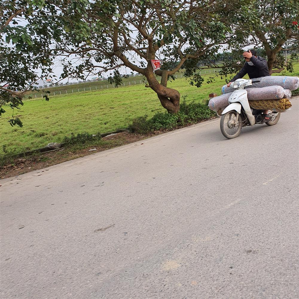 Chợ Ninh Hiệp vắng vẻ, tiểu thương ngồi chơi cả ngày vì không có hàng-4