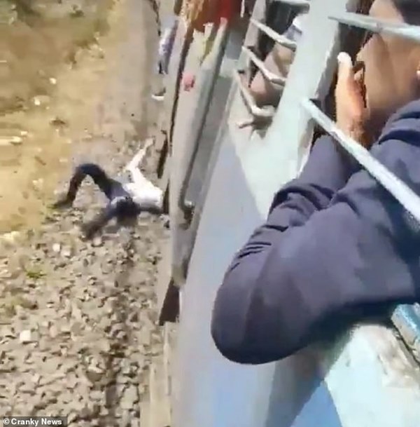 Khoảnh khắc kinh hãi không dành cho người yếu tim: Nam thanh niên rơi xuống đường ray lúc tàu đang chạy nhưng kết cục khiến hành khách vỗ tay ầm ầm-2