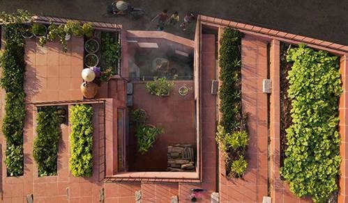Vườn rau 7 bậc thang trên mái nhà ở Quảng Ngãi lên báo Mỹ-8