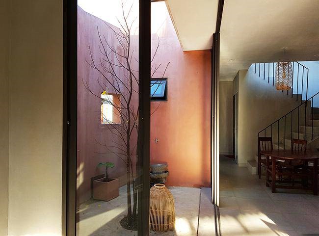 Vườn rau 7 bậc thang trên mái nhà ở Quảng Ngãi lên báo Mỹ-13