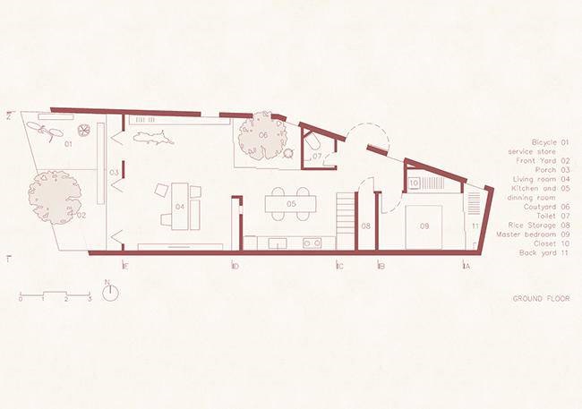 Vườn rau 7 bậc thang trên mái nhà ở Quảng Ngãi lên báo Mỹ-18