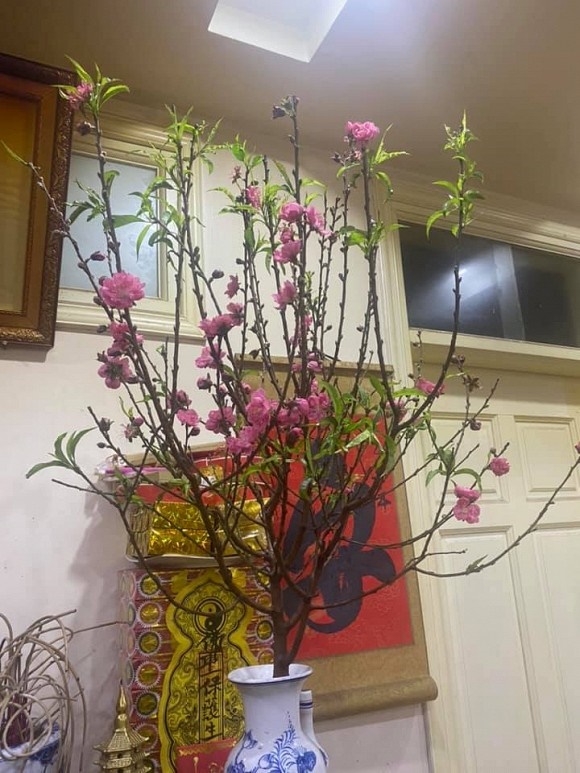 Hé lộ không gian hiếm hoi trong căn hộ của nghệ sĩ Công Lý-2