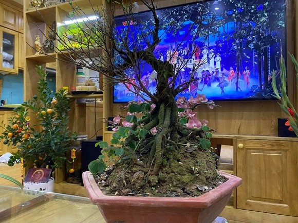 Hé lộ không gian hiếm hoi trong căn hộ của nghệ sĩ Công Lý-4