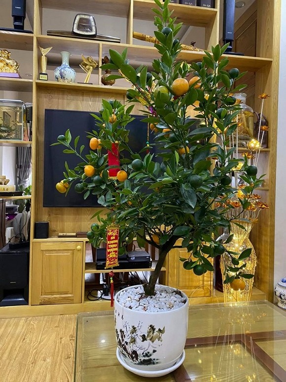 Hé lộ không gian hiếm hoi trong căn hộ của nghệ sĩ Công Lý-6