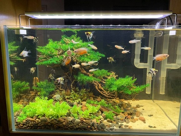 Hé lộ không gian hiếm hoi trong căn hộ của nghệ sĩ Công Lý-8