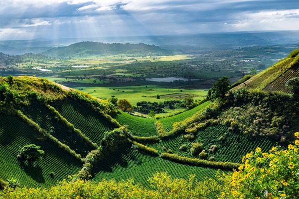 Vi vu ăn&nbsp;chơi ở 4 tỉnh thành an toàn của Việt Nam&nbsp;trước dịch Covid-19-10