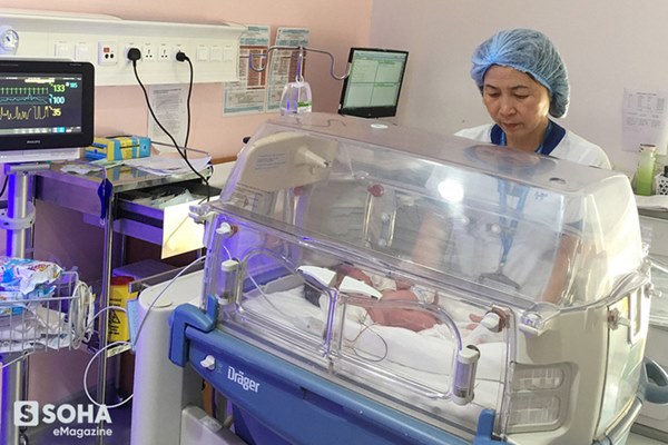 Nữ y tá Việt Nam và câu nói của phóng viên quốc tế: Tất cả những người phải thở máy không một ai sống sót!-14