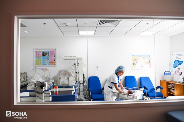 Nữ y tá Việt Nam và câu nói của phóng viên quốc tế: Tất cả những người phải thở máy không một ai sống sót!-21