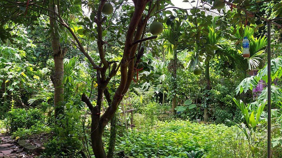 Đi làm về, vợ chồng trẻ hoảng hồn thấy ngôi mộ xuất hiện trước cửa sổ-1