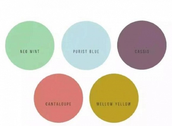 Màu nào làm cho người mặc gầy nhất? Ai cũng nghĩ màu đen nhưng hóa ra là màu này-3