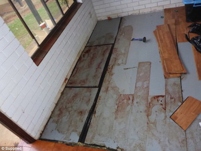 Nghề dọn dẹp hiện trường vụ án: Không yêu cầu bằng cấp, kiếm 1 triệu đô/năm nhưng luôn bị ám ảnh bới cái chết của các nạn nhân-9