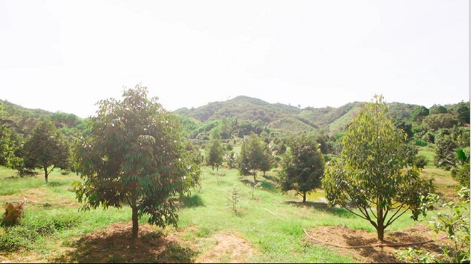 Từng phải bán hết tài sản có giá trị để nuôi con, hiện cuộc sống của Trà Ngọc Hằng như thế nào?-3