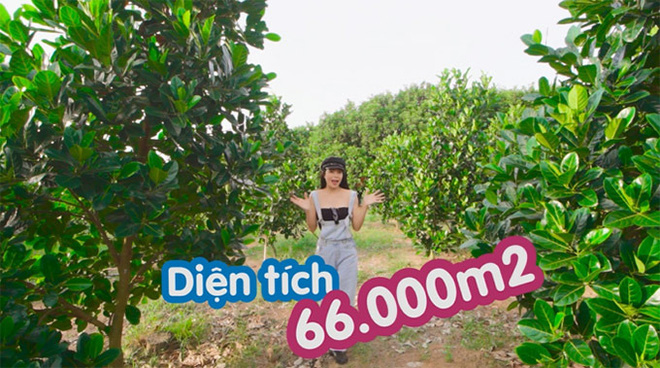 Từng phải bán hết tài sản có giá trị để nuôi con, hiện cuộc sống của Trà Ngọc Hằng như thế nào?-6