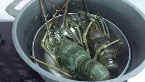 Cách chế biến tôm hùm nhiều món ngon hấp dẫn, dễ làm tại nhà-2