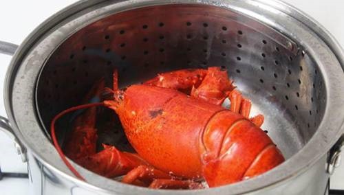 Cách chế biến tôm hùm nhiều món ngon hấp dẫn, dễ làm tại nhà-3