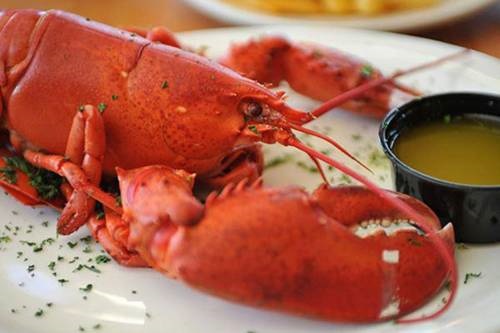 Cách chế biến tôm hùm nhiều món ngon hấp dẫn, dễ làm tại nhà-6