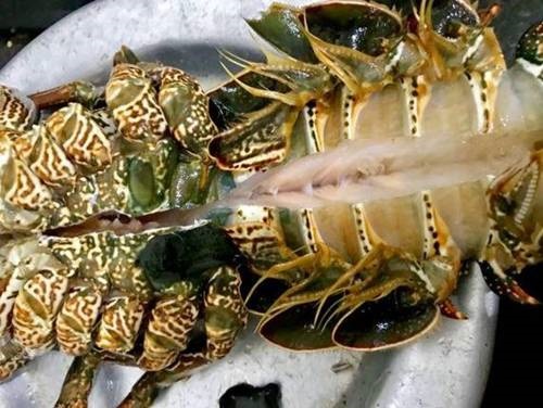 Cách chế biến tôm hùm nhiều món ngon hấp dẫn, dễ làm tại nhà-7