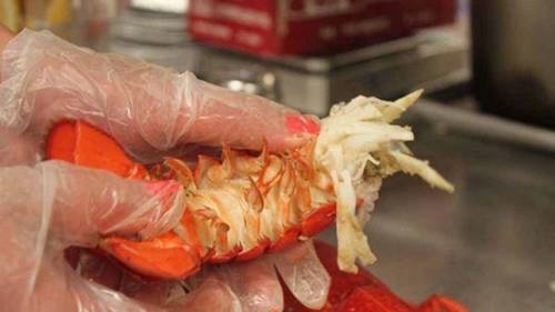 Cách chế biến tôm hùm nhiều món ngon hấp dẫn, dễ làm tại nhà-13