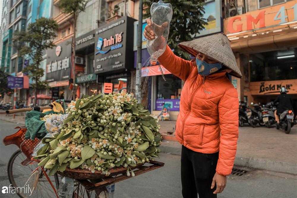 Chùm ảnh: Mùa hoa bưởi đã tỏa hương khắp đường phố Hà Nội, nhìn thấy lòng ai cũng xao xuyến, nhất định phải mang về mới thôi-11