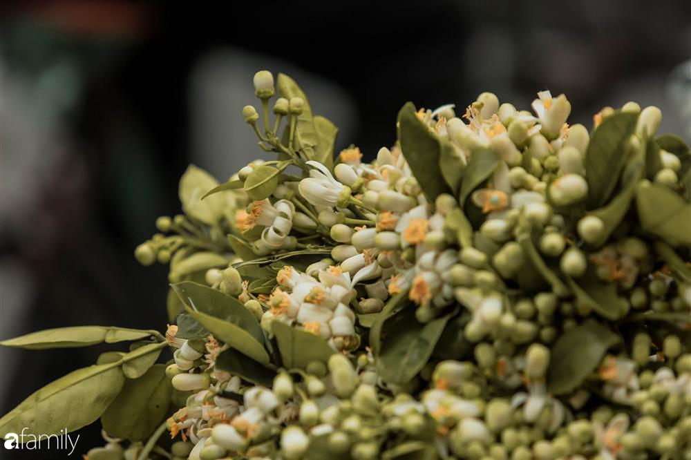 Chùm ảnh: Mùa hoa bưởi đã tỏa hương khắp đường phố Hà Nội, nhìn thấy lòng ai cũng xao xuyến, nhất định phải mang về mới thôi-14