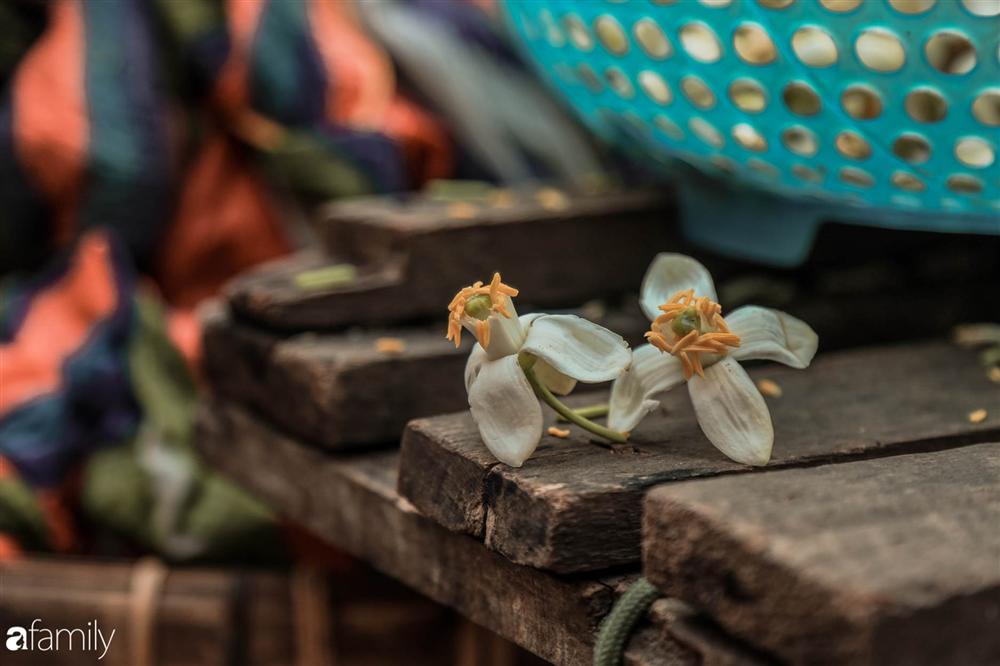 Chùm ảnh: Mùa hoa bưởi đã tỏa hương khắp đường phố Hà Nội, nhìn thấy lòng ai cũng xao xuyến, nhất định phải mang về mới thôi-6